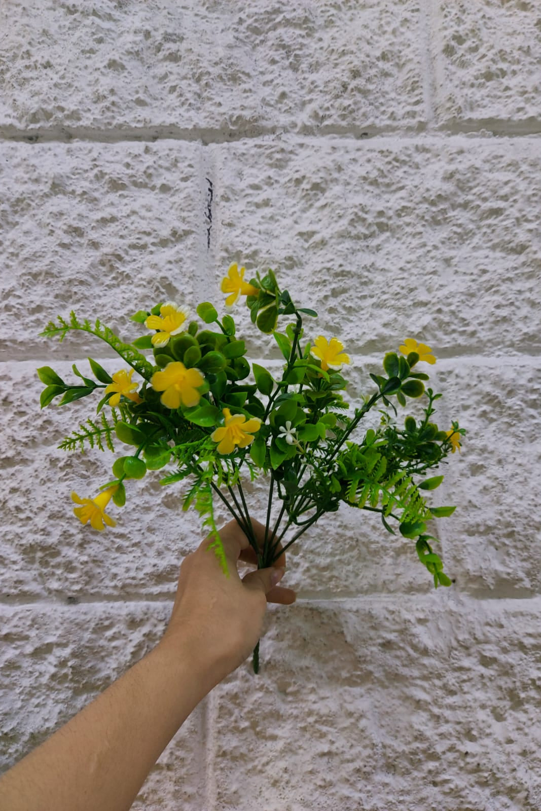 Follaje General Bacopa Monnieri Amarillo 33cm