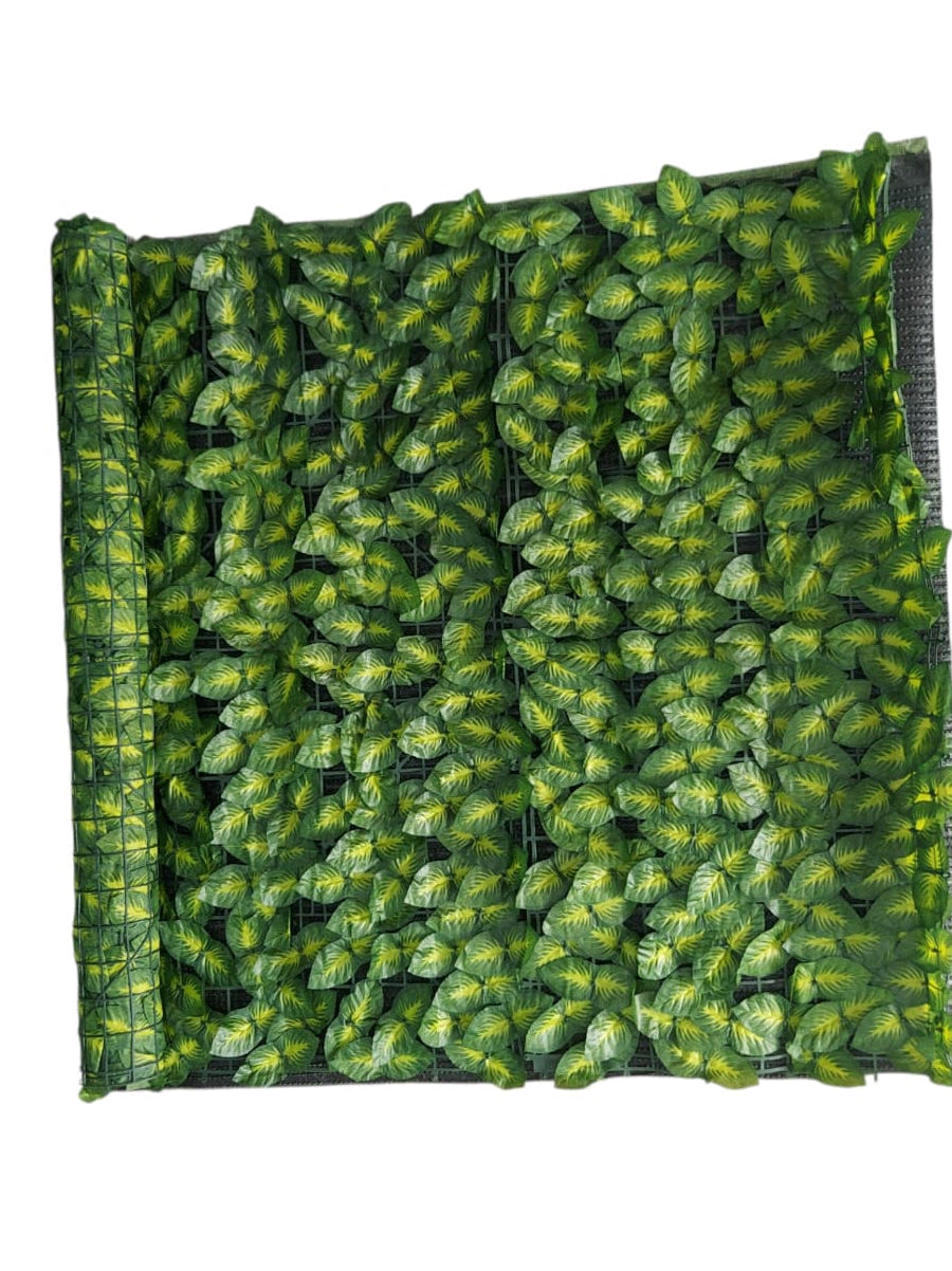 Malla De Hojas Tipo Fitonia Artificial 3x1 Metros