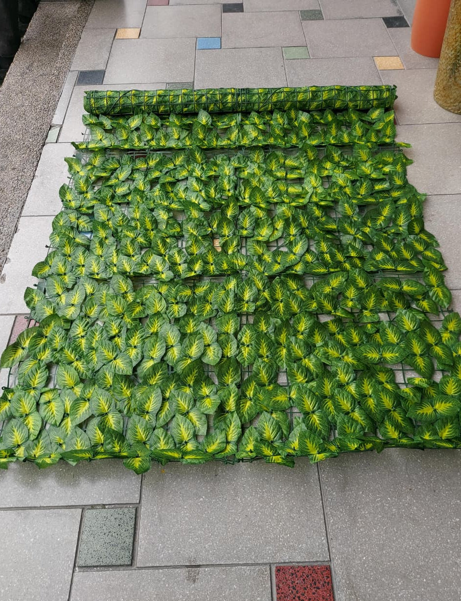 Malla De Hojas Tipo Fitonia Artificial 3x1 Metros