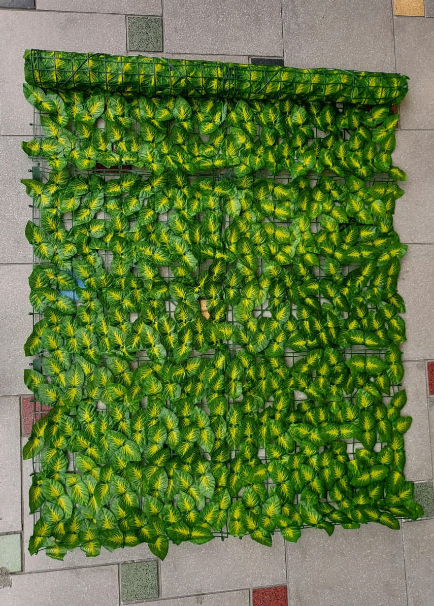 Malla De Hojas Tipo Fitonia Artificial 3x1 Metros