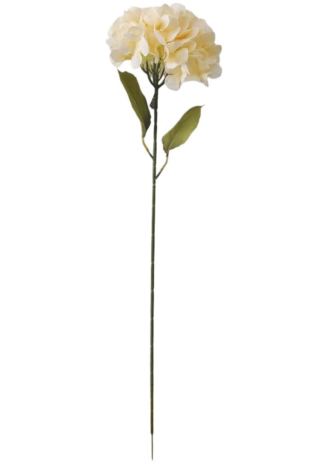 Ramo de Hortensias Tallo Largo Beige 77cm