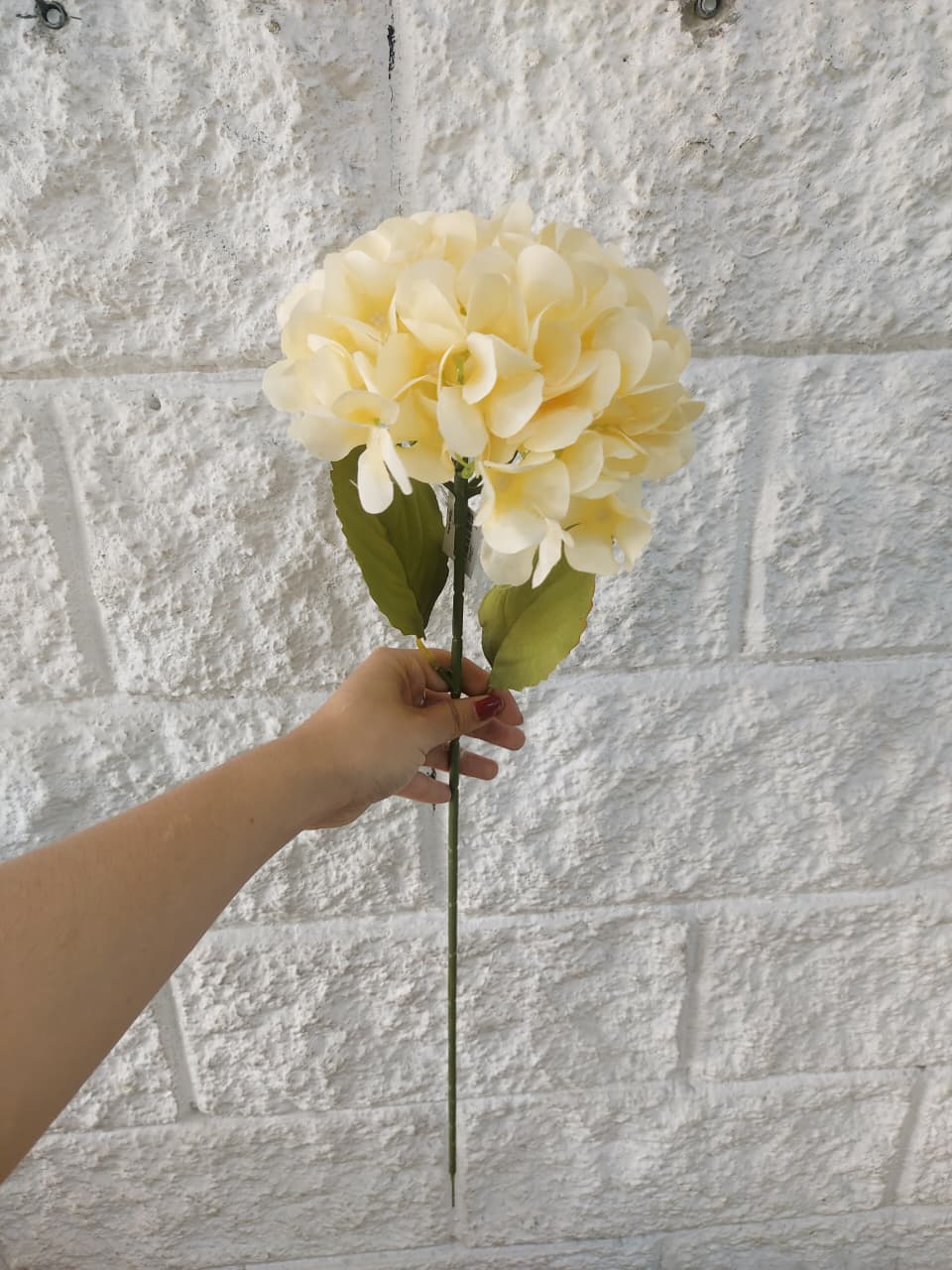 Ramo de Hortensias Tallo Largo Beige 77cm