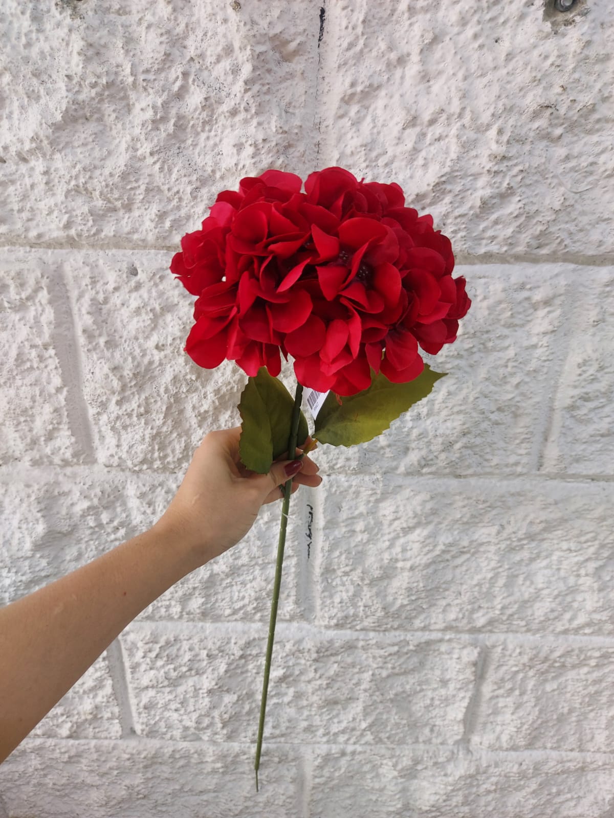 Ramo De Hortensias Tallo Largo Rojo 77cm