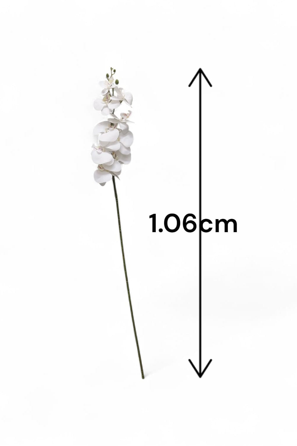 Orquídea Mediana Tallo Largo Blanca 1.06mts