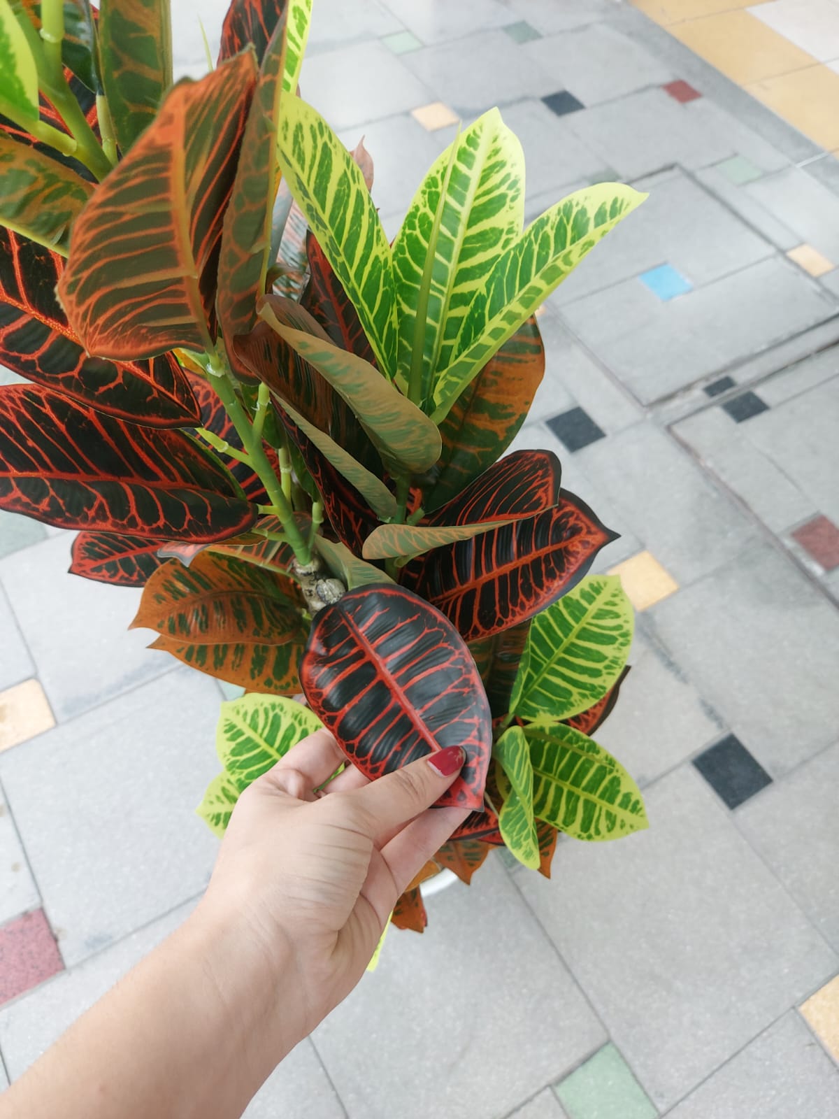 Árbol Crotón Realista Premium 1.20mts