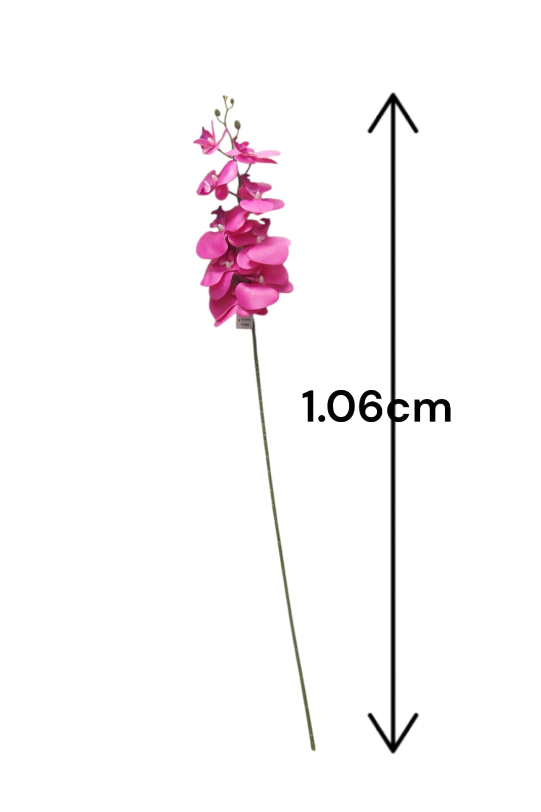 Orquidea Mediana Tallo Largo Fucsia 1.06cm