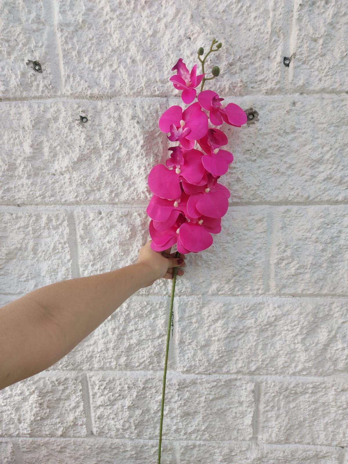 Orquidea Mediana Tallo Largo Fucsia 1.06cm