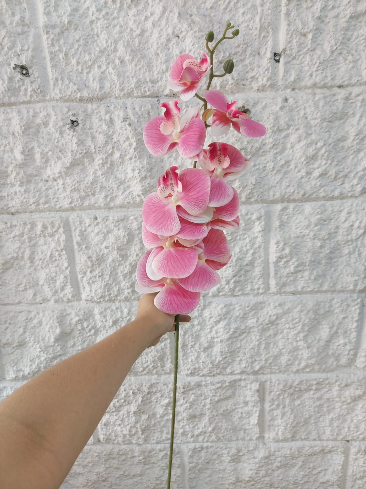 Orquidea Mediana Tallo Largo Rosa 1.06cm