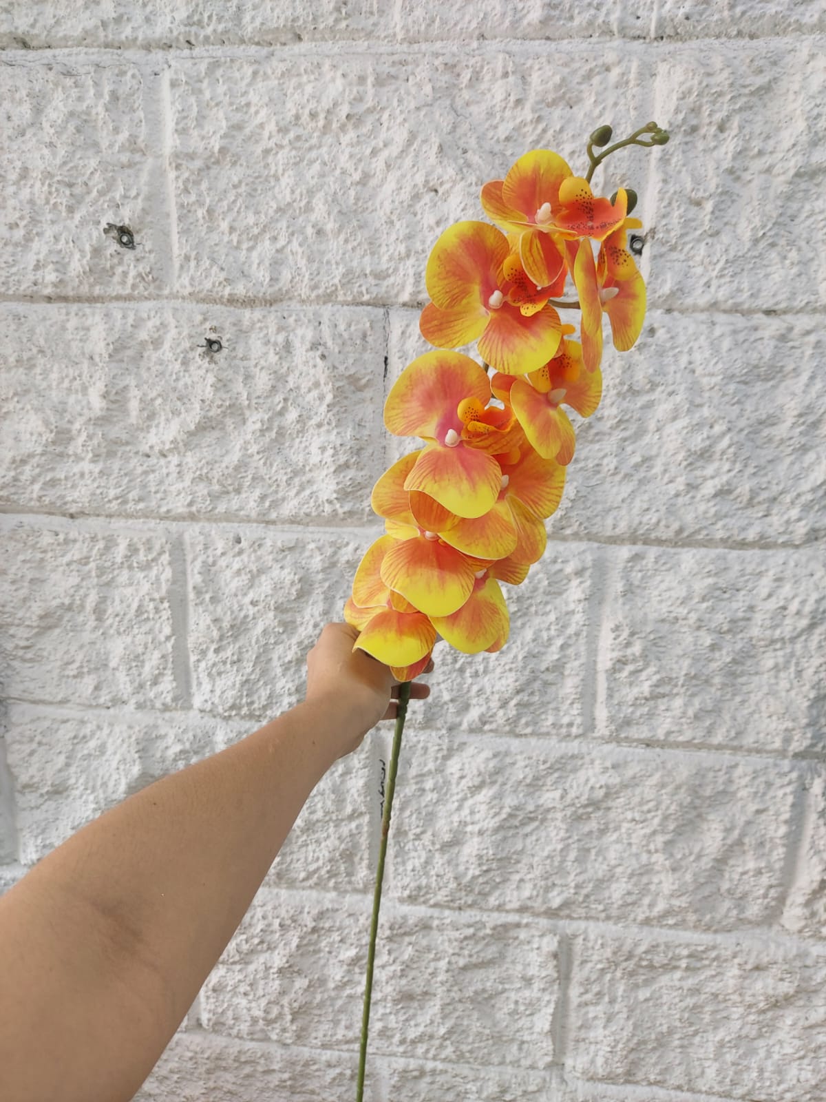 Orquidea Mediana Tallo Largo Naranja 1.06cm