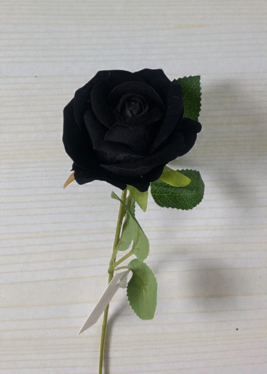 Rosa Tipo Ans Negra 50cm