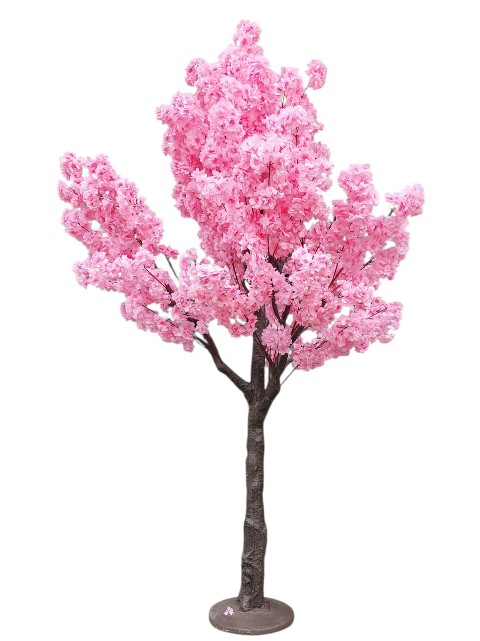 Árbol De Cerezo Grande Frondoso 2.40mts