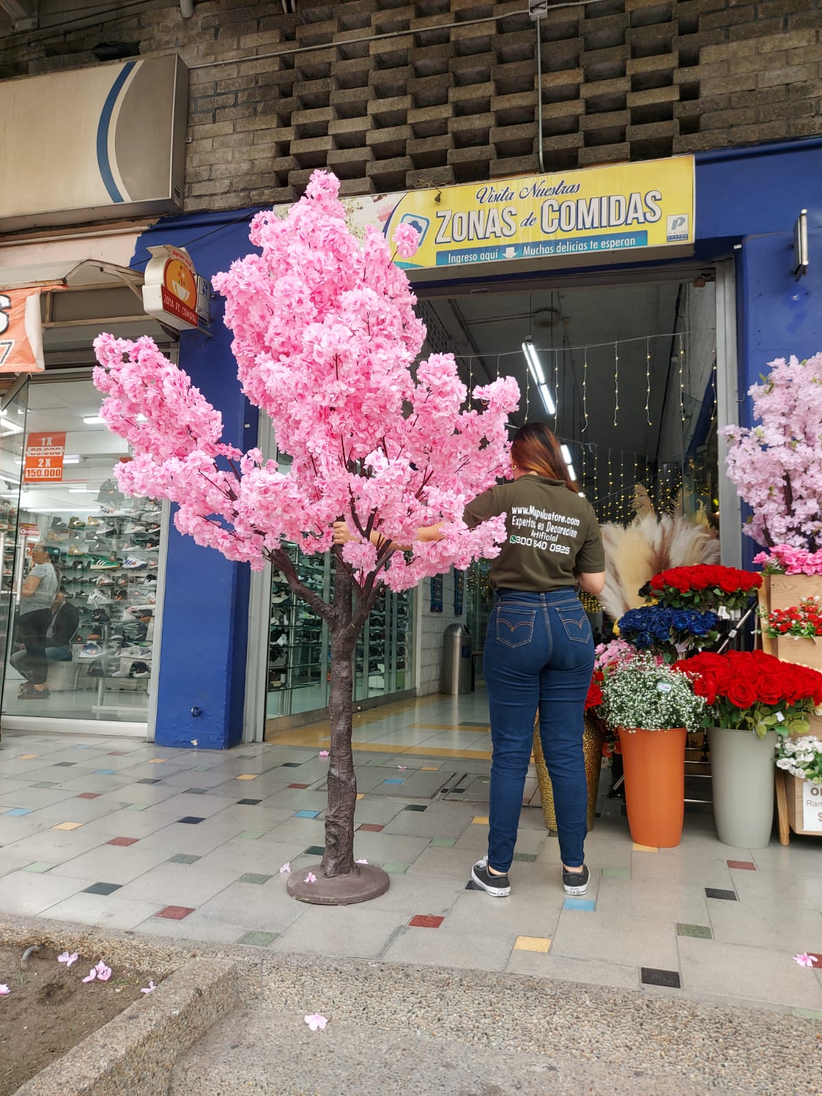 Árbol De Cerezo Grande Frondoso 2.40mts