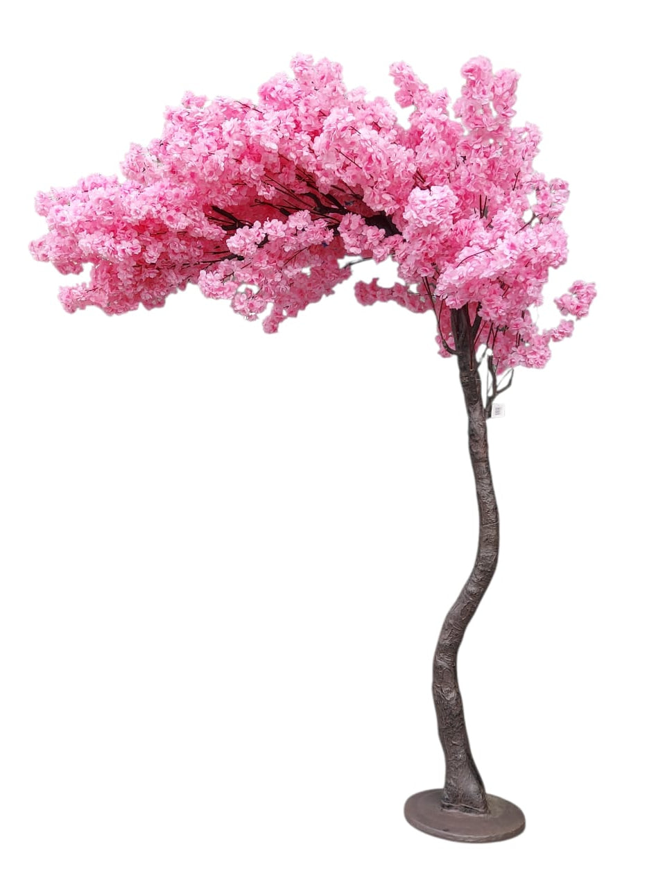 Árbol De Cerezo Arqueado 2.30mts
