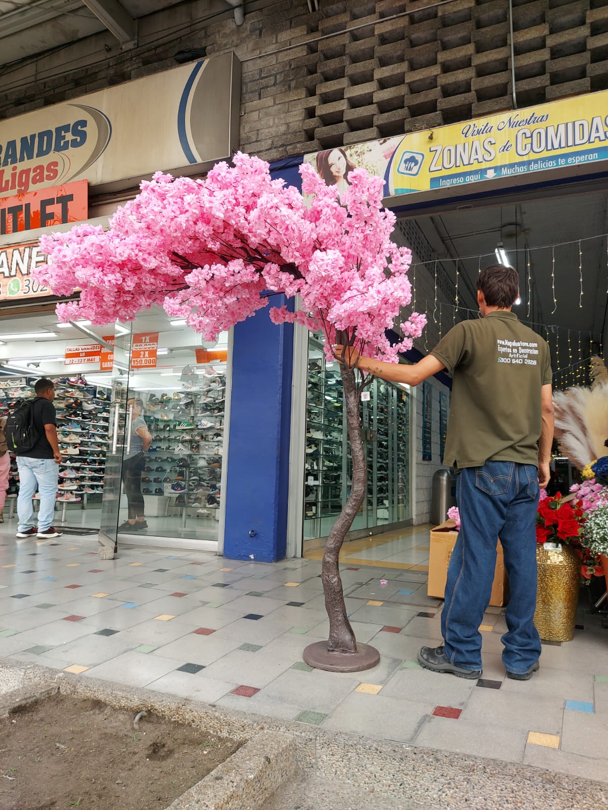 Árbol De Cerezo Arqueado 2.30mts