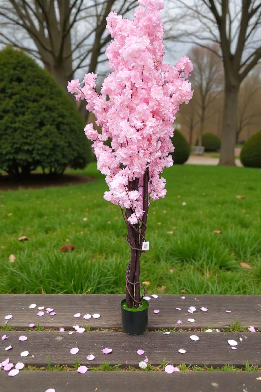 Árbol De Cerezo Premium Rosa 1.80cm
