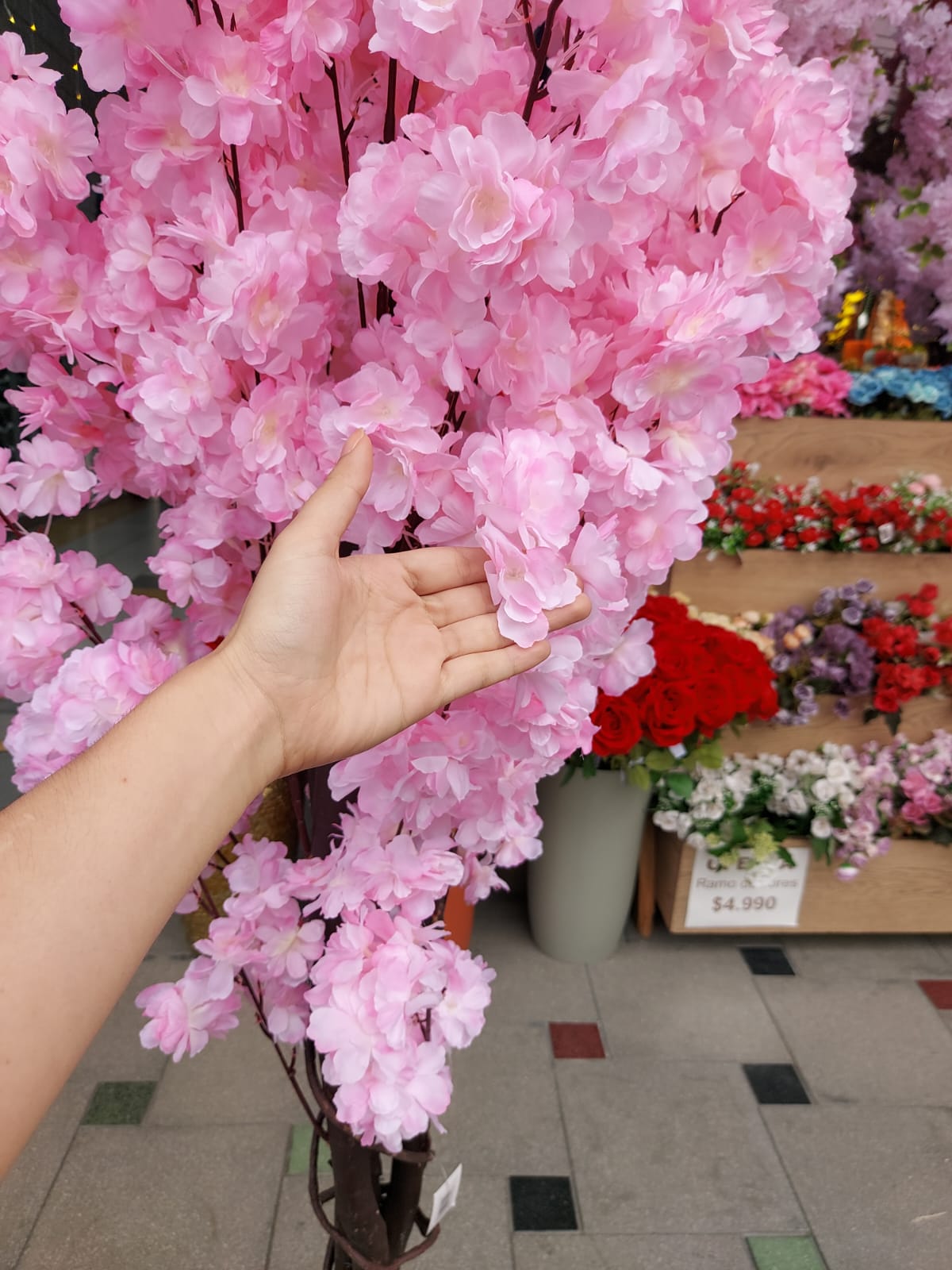 Árbol De Cerezo Premium Rosa 1.80cm