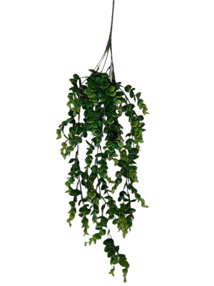 Colgante Eucalipto Artificial 77cm