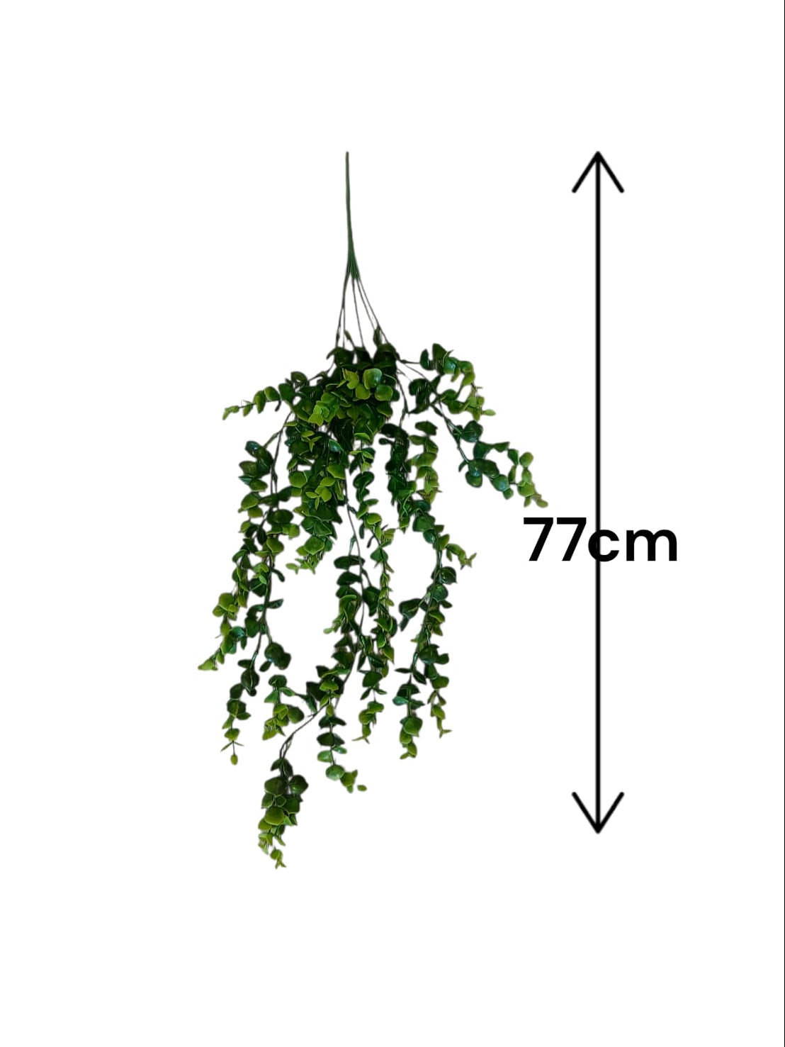 Colgante Eucalipto Artificial 77cm