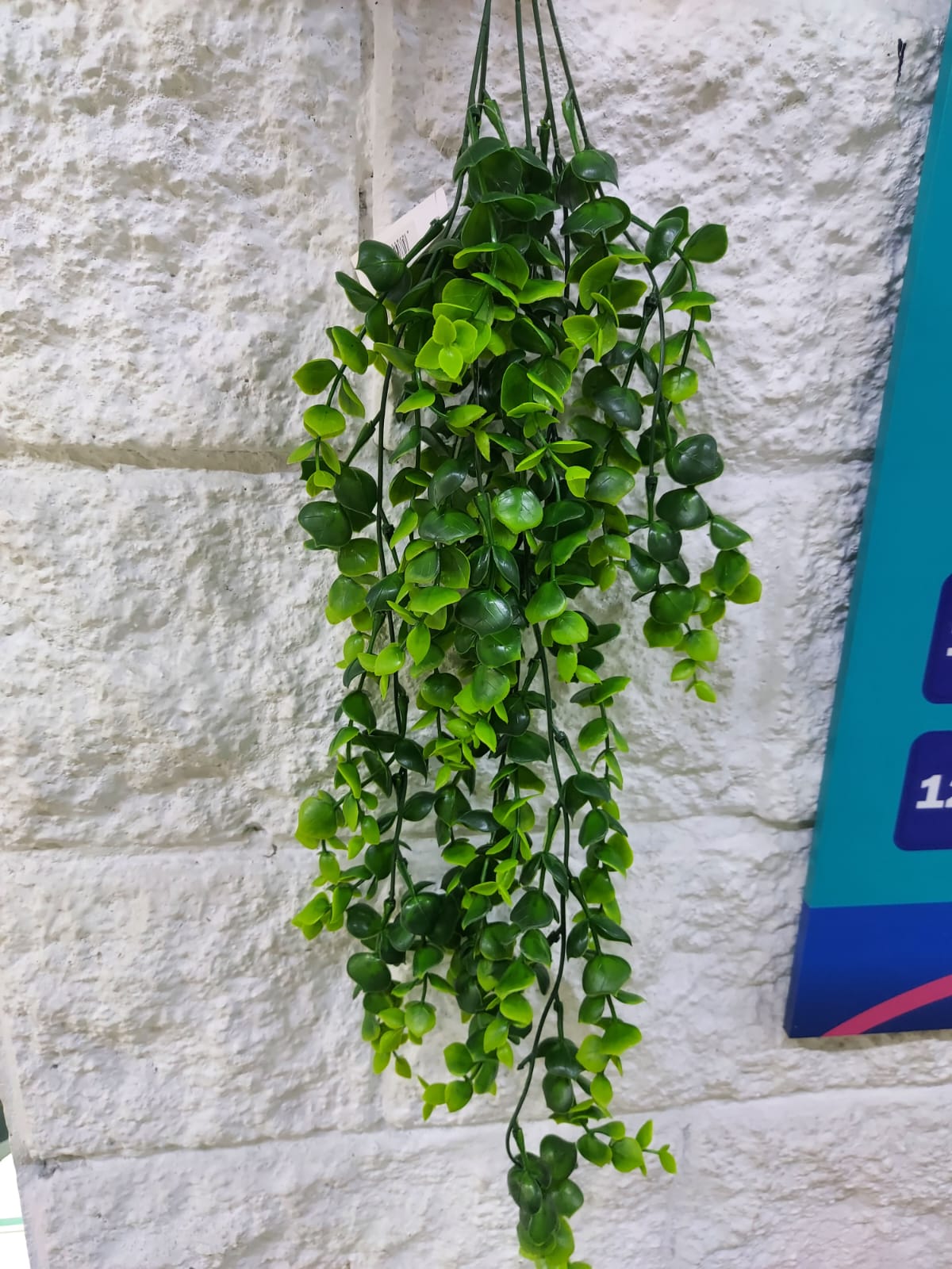 Colgante Eucalipto Artificial 77cm