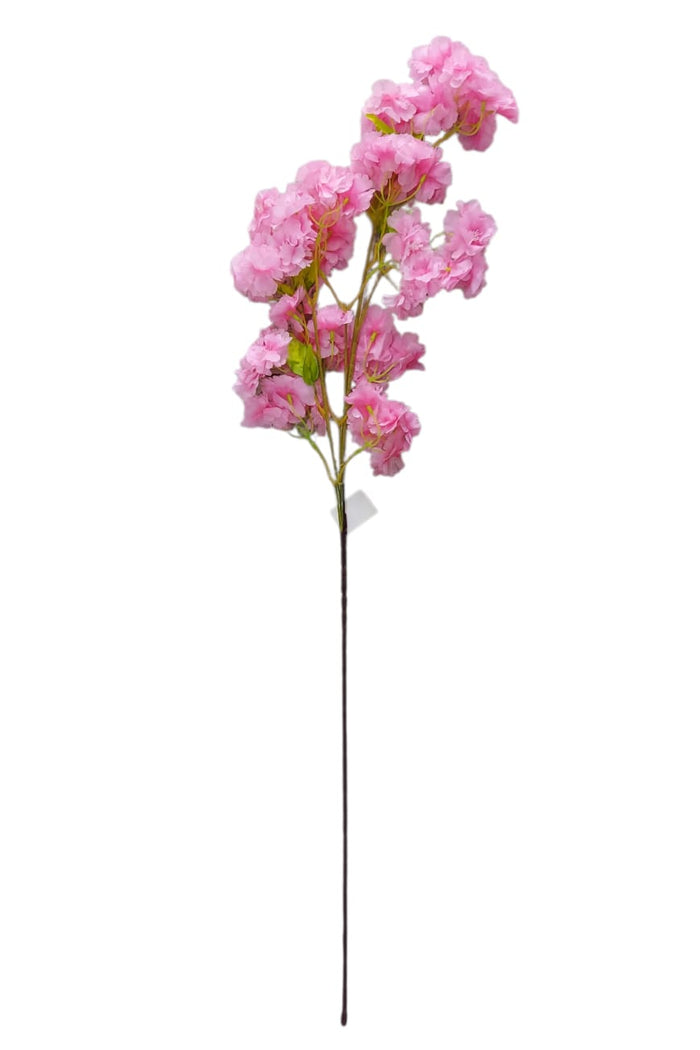 Cerezos