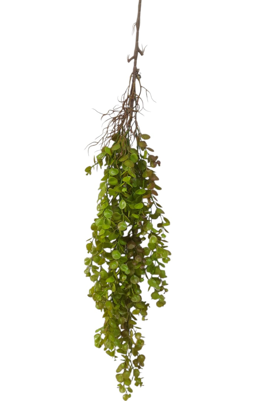 Colgante Eucalipto Premium 1mts Verde/Rojo