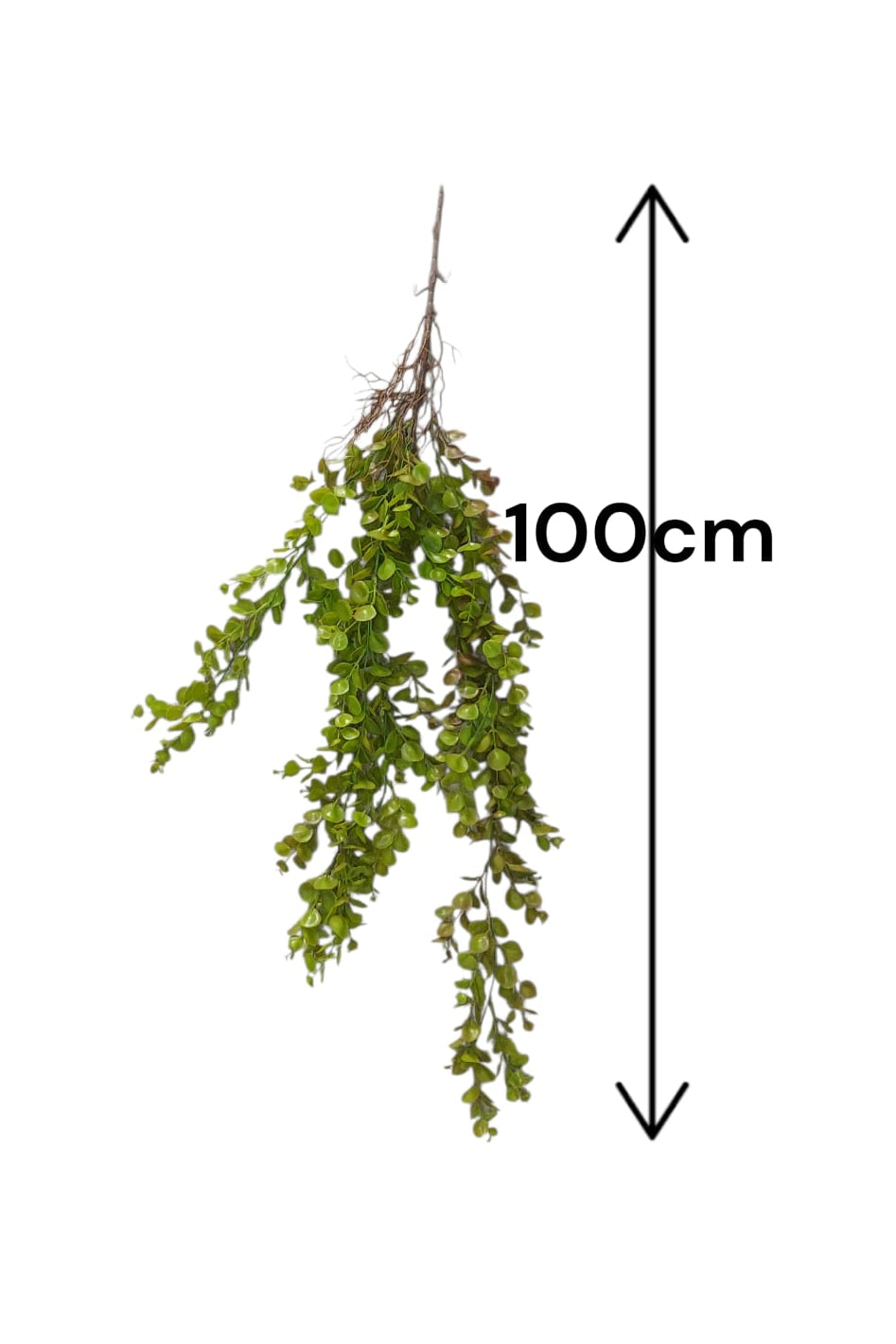 Colgante Eucalipto Premium 1mts Verde/Rojo