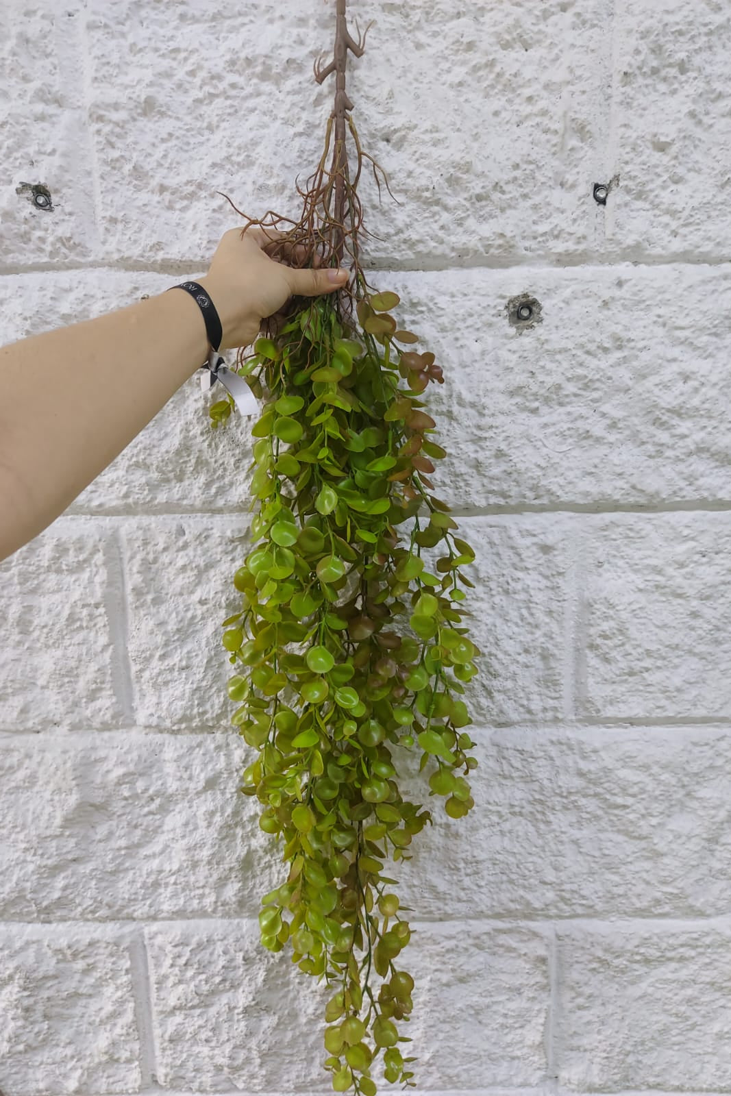 Colgante Eucalipto Premium 1mts Verde/Rojo