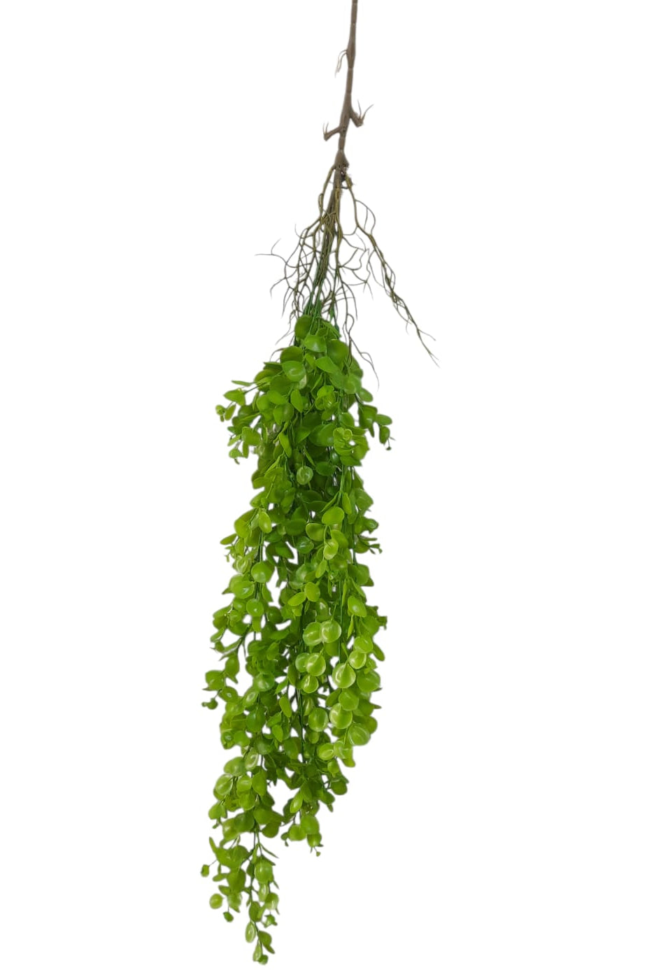 Colgante Eucalipto Premium 1mts Verde