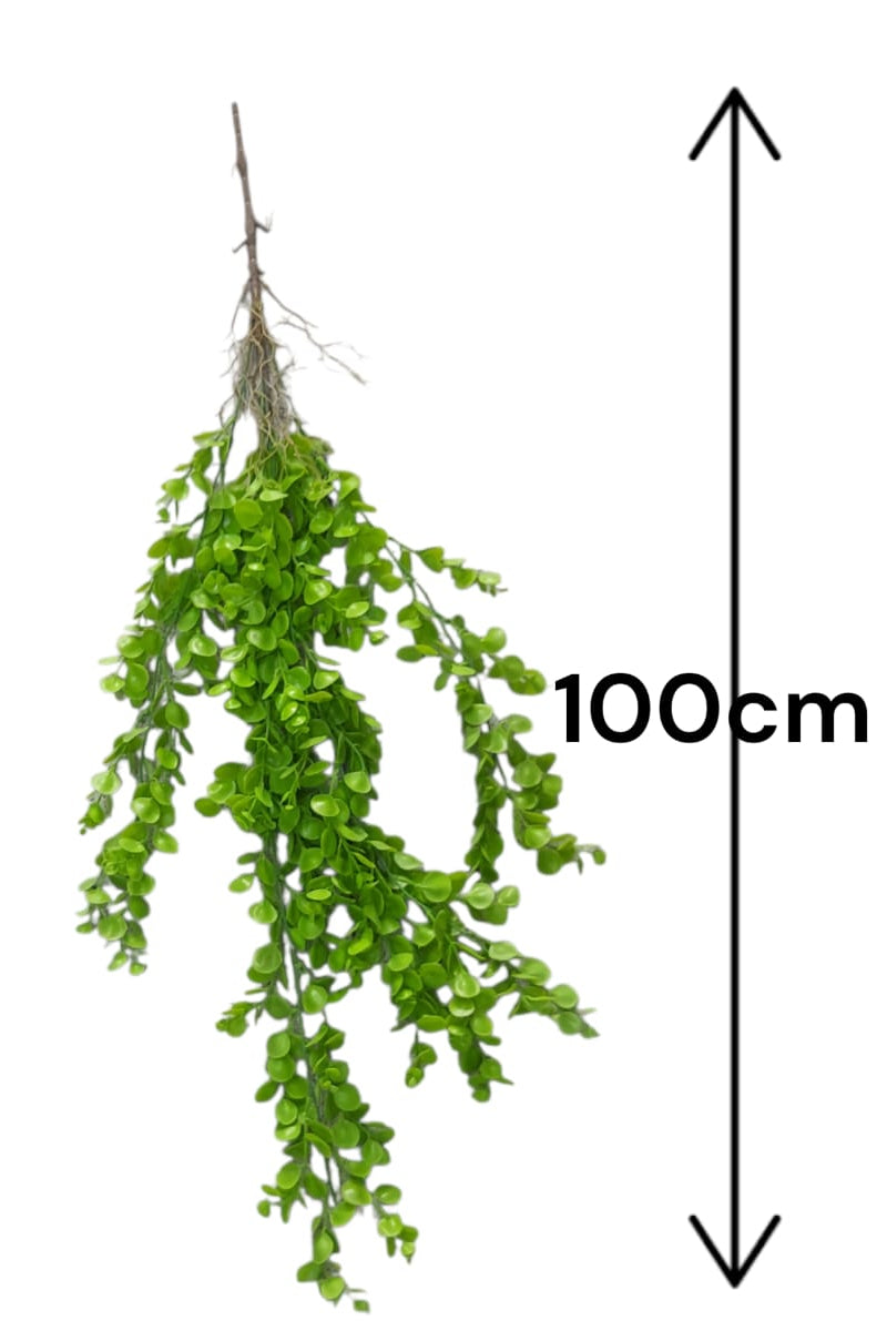 Colgante Eucalipto Premium 1mts Verde Clara