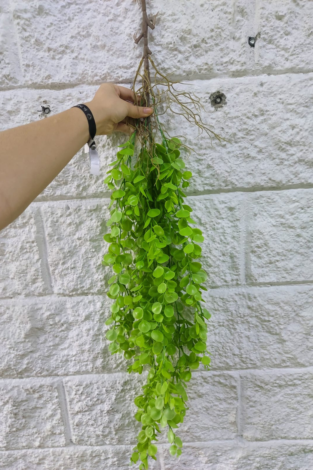 Colgante Eucalipto Premium 1mts Verde Clara