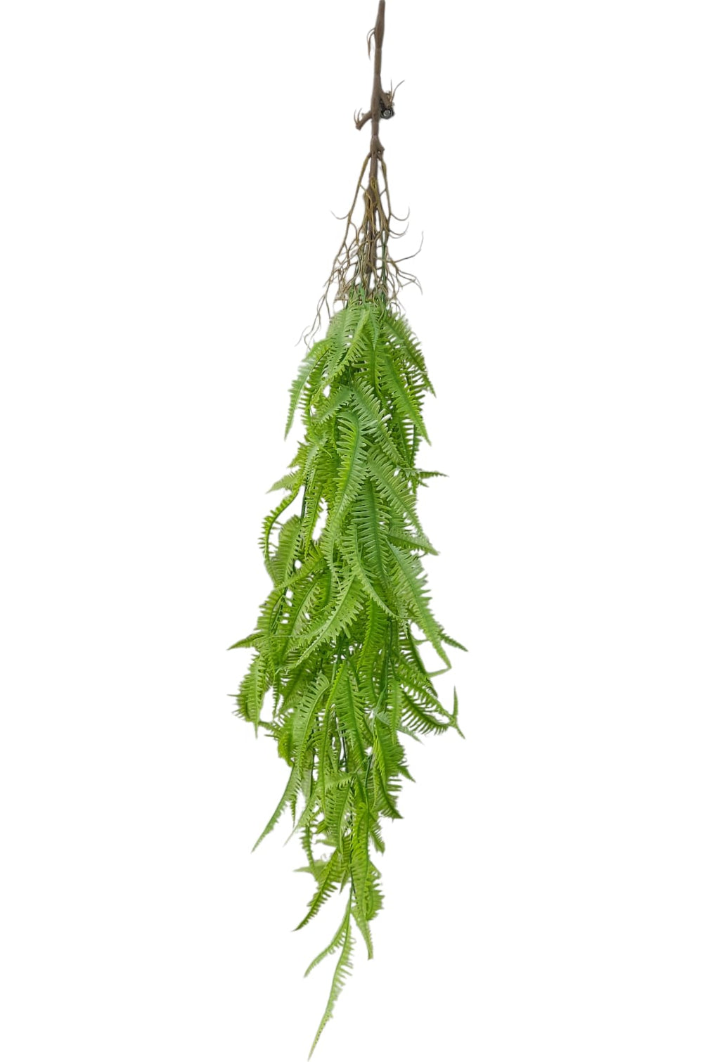 Colgante Helecho Premium 1mts Verde Claro