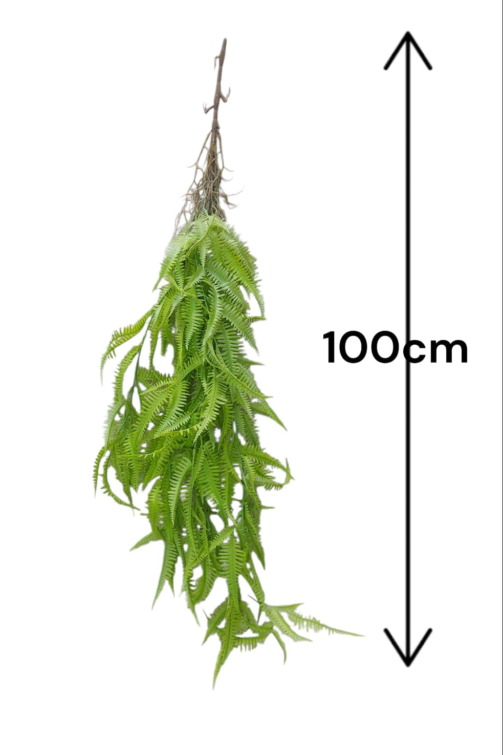 Colgante Helecho Premium 1mts Verde Claro