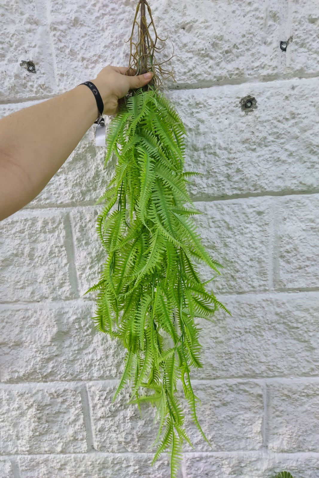 Colgante Helecho Premium 1mts Verde Claro