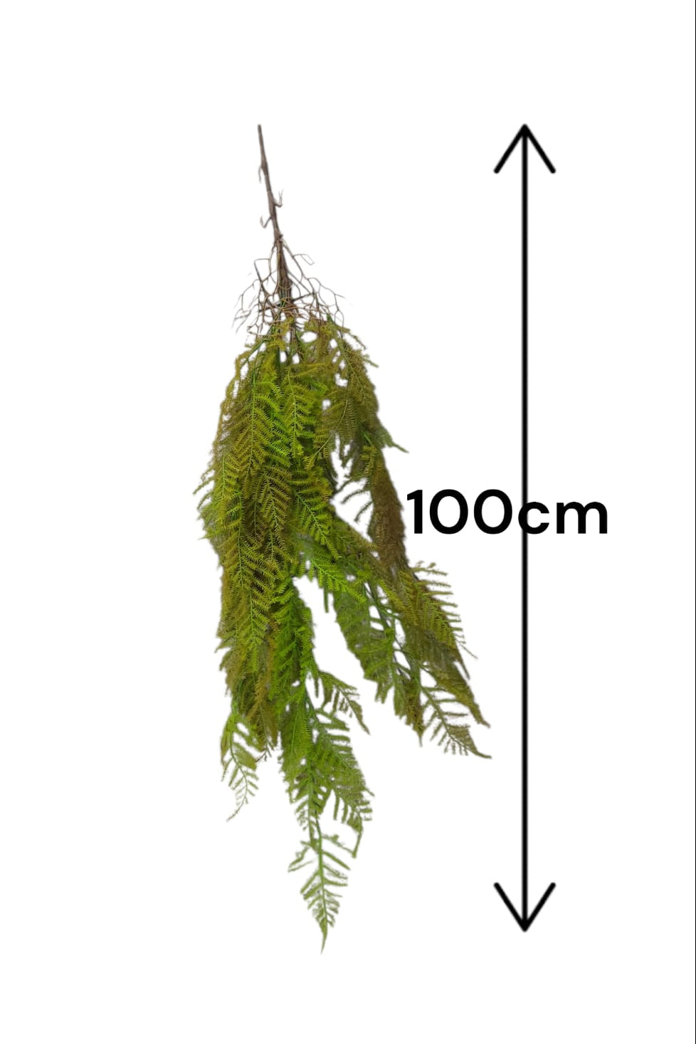 Colgante Helecho Tipo Musgo Premium Verde/Rojo 1mts