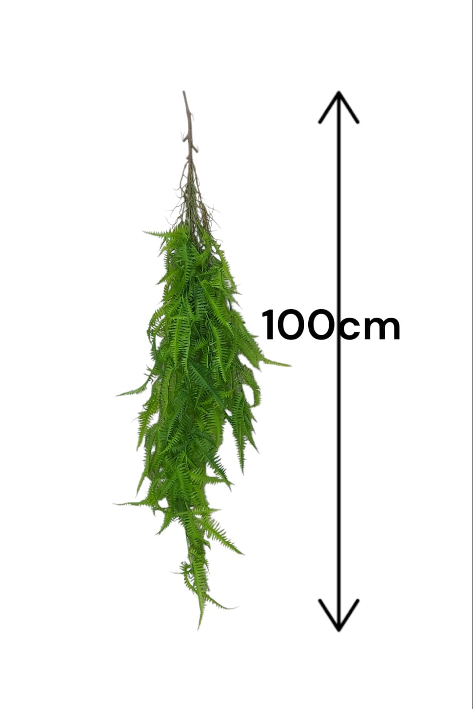 Colgante Helecho Premium 1mts Verde