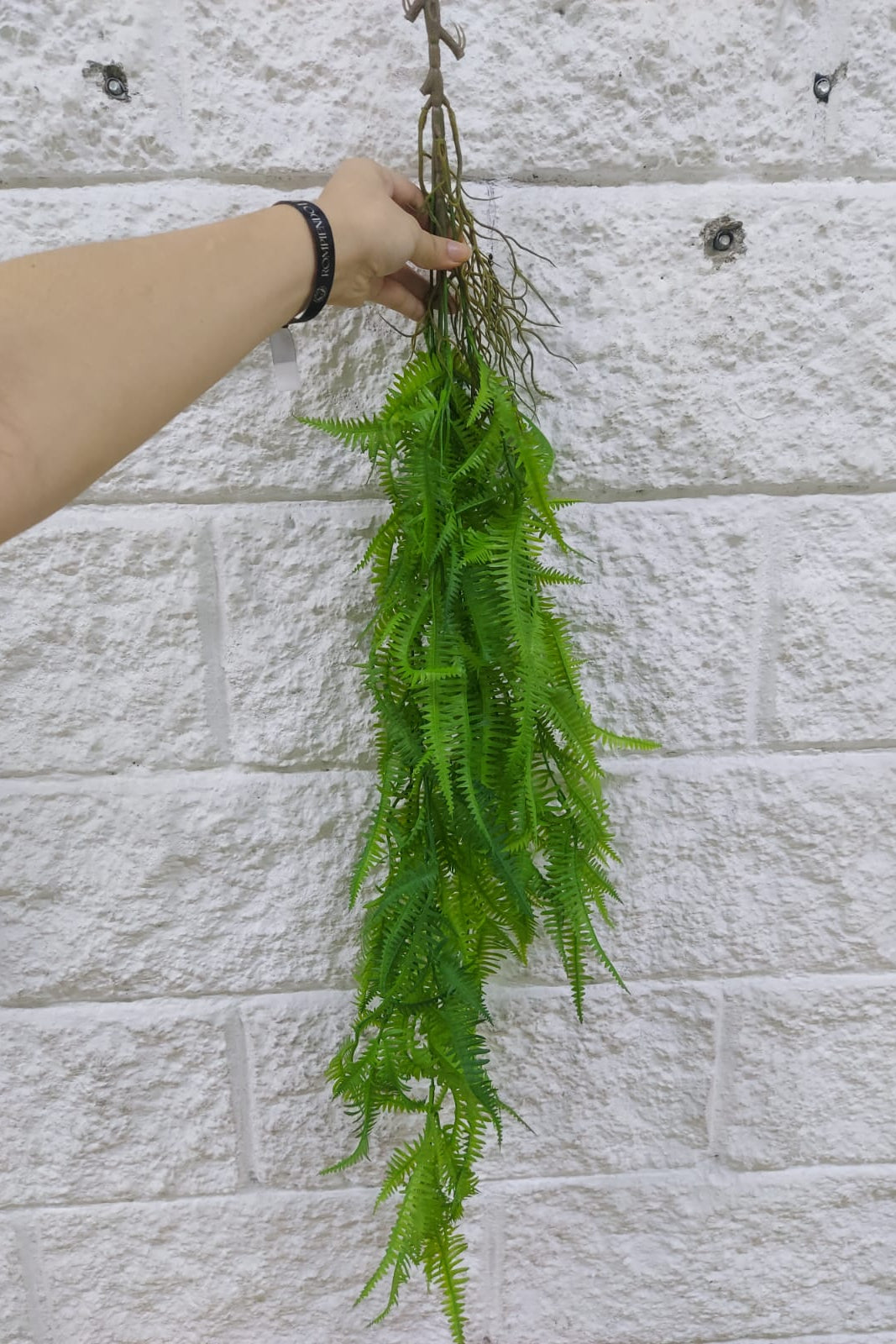 Colgante Helecho Premium 1mts Verde