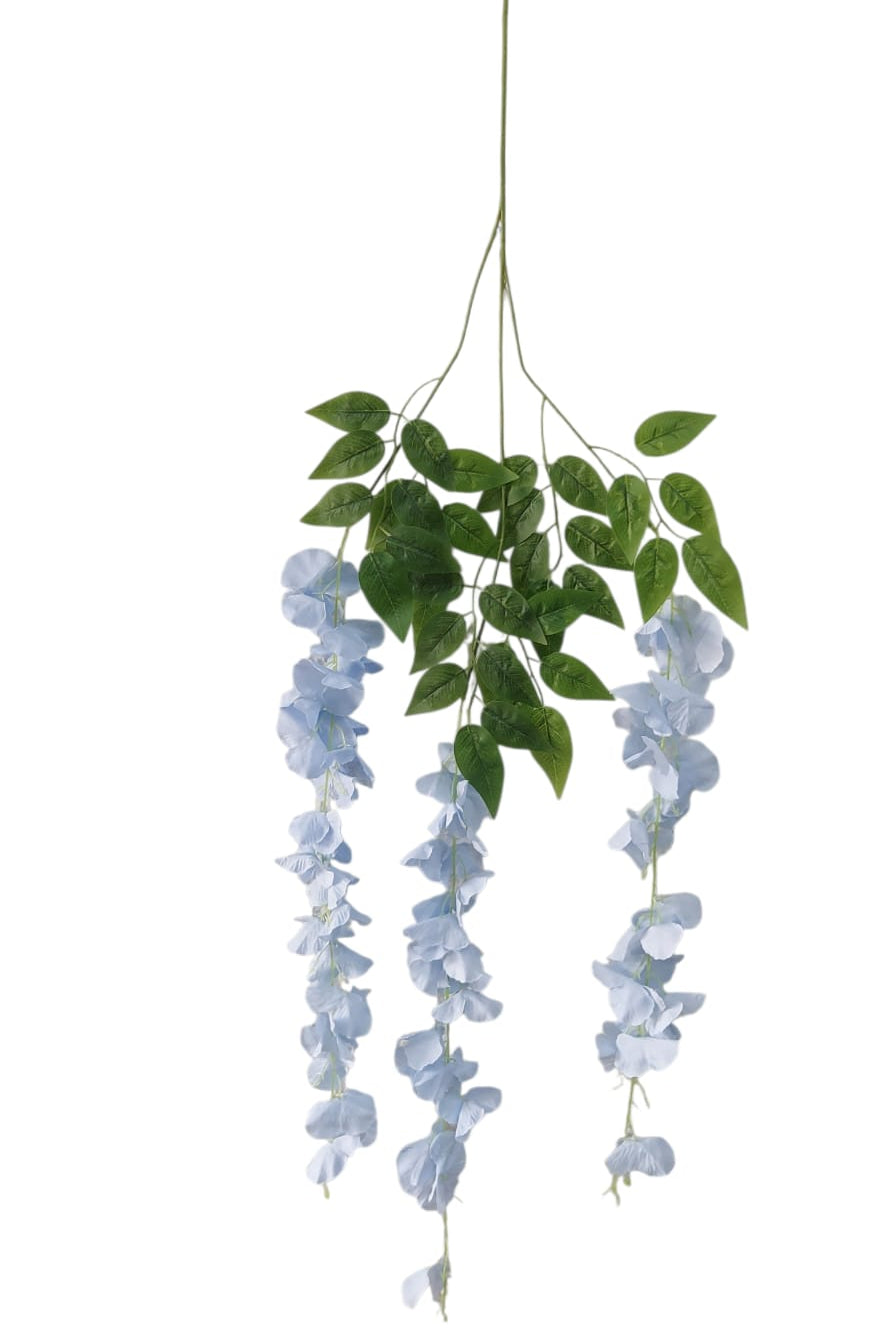 Wisteria Premium XUnidad Azul 1mts