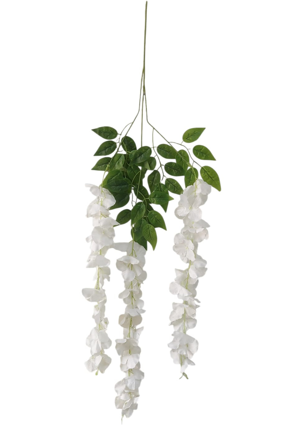 Wisteria Premium XUnidad Blanca 1mt