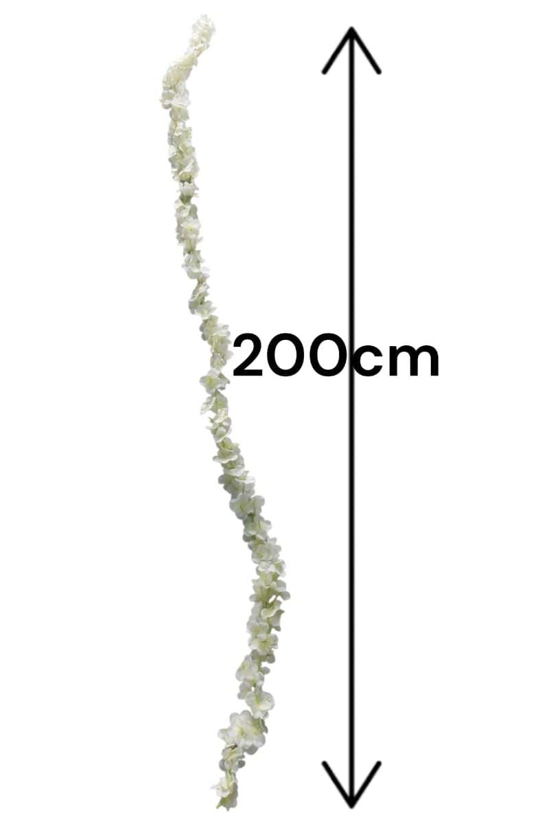 Enredadera Sencilla de Flores Blanca 2mts