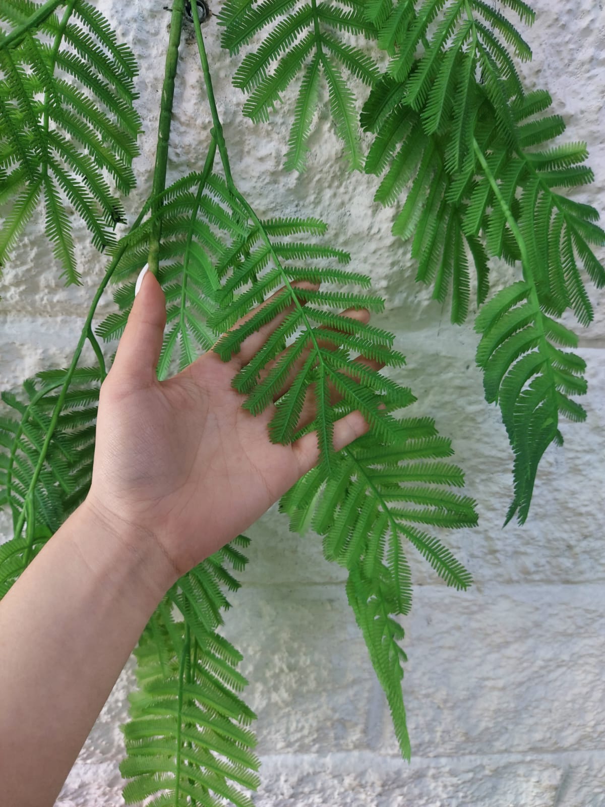 Rama Colgante Acacia Artificial Verde 1.05mts