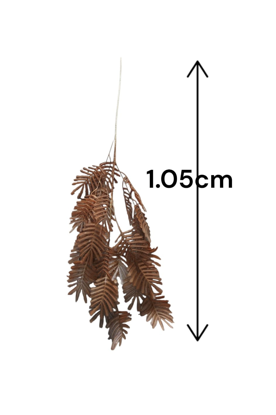 Rama Colgante Acacia Café 1.05mts