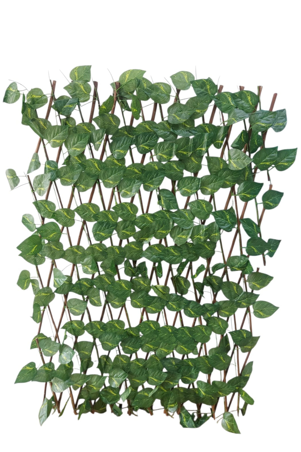 Cercha Decorativa Plegable Hoja Miami 2mx1m