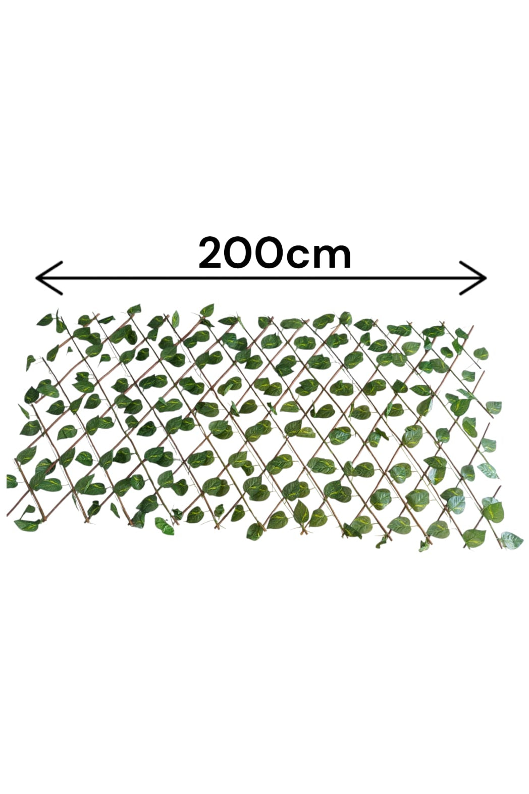 Cercha Decorativa Plegable Hoja Miami 2mx1m