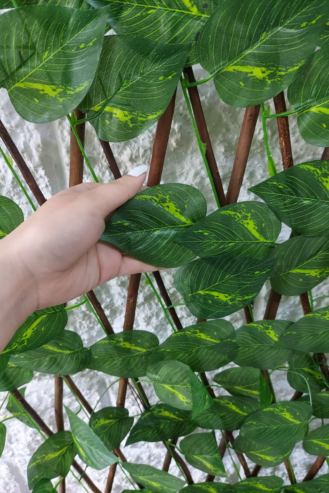 Cercha Decorativa Plegable Hoja Miami 2mx1m