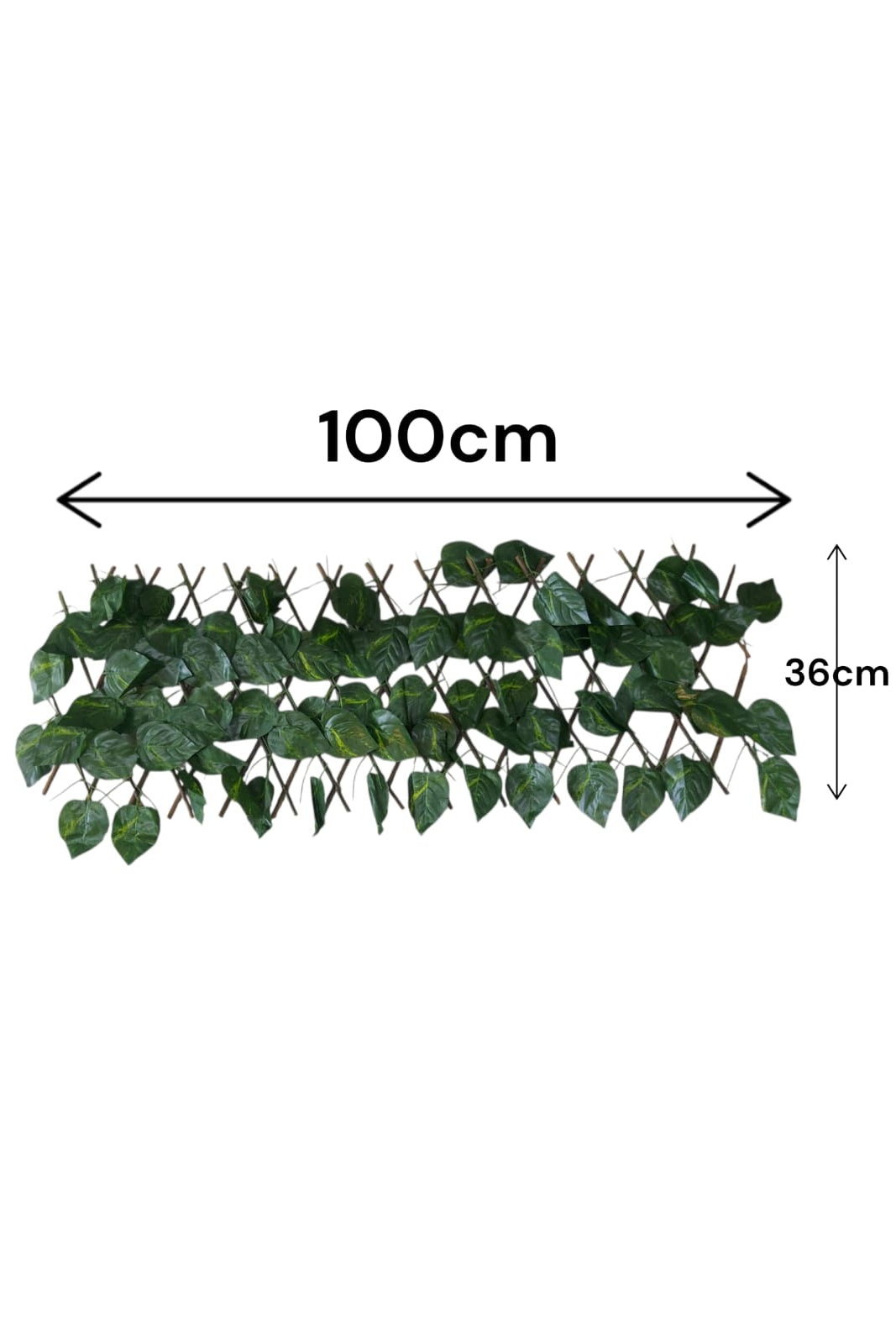 Cercha Decorativa Plegable Hoja Miami 1mx36cm