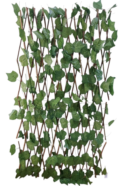 Cercha Decorativa Plegable Hoja 3 Puntas 2mx1m