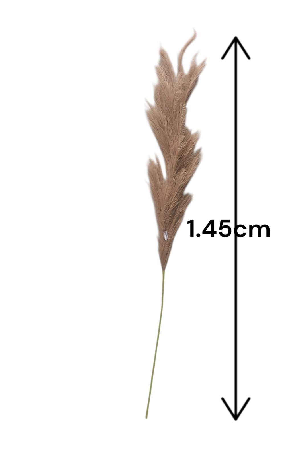 Pampa Decorativa Artificial Grande Café 1.45cm