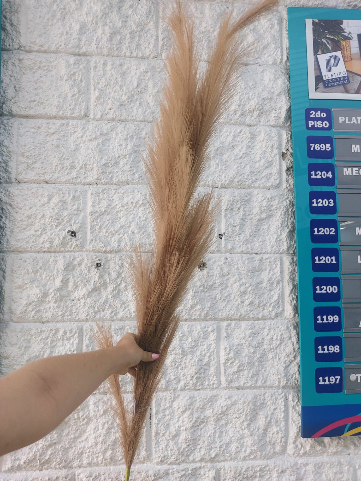 Pampa Decorativa Artificial Grande Café 1.45cm