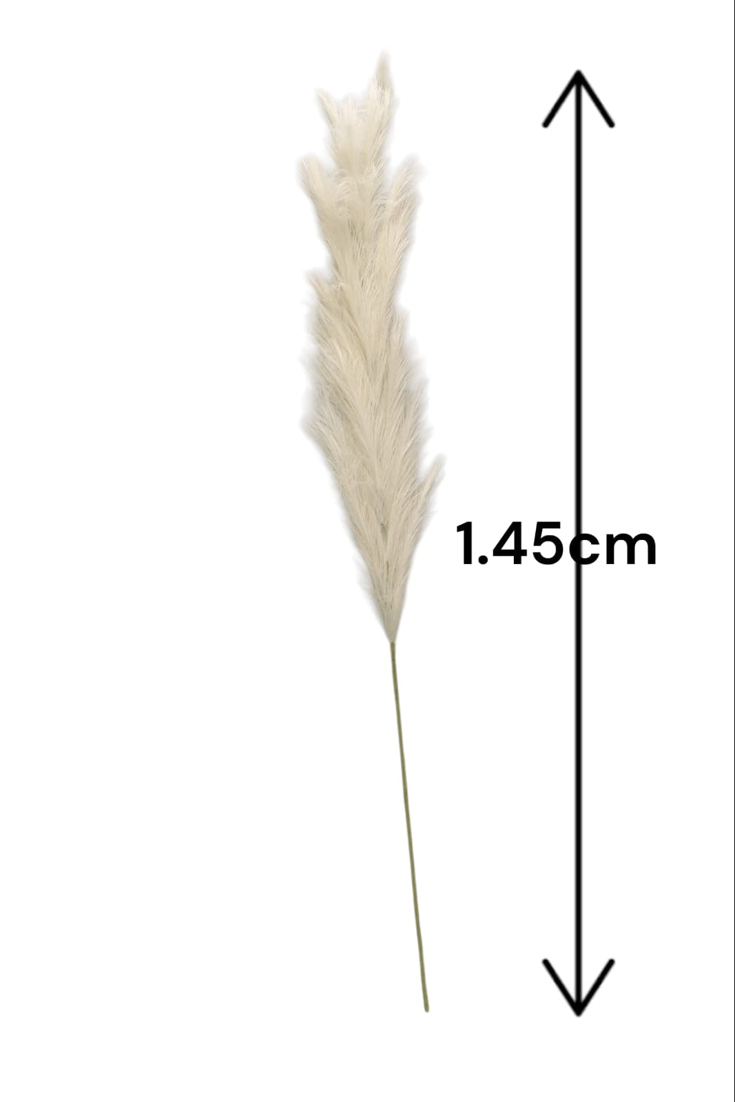 Pampa Decorativa Artificial Grande Beige 1.45cm