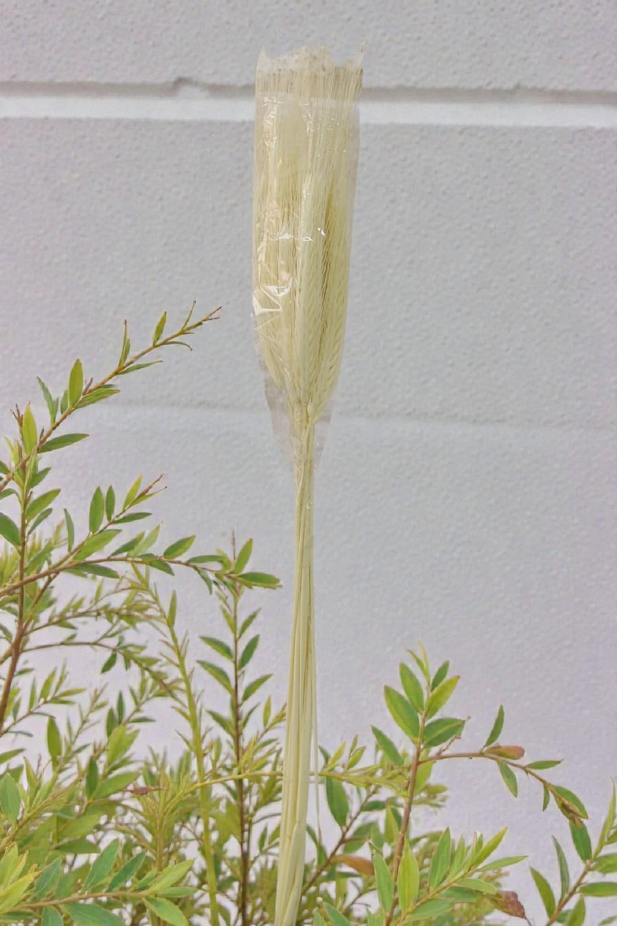 Espiga Larga Real 89cm